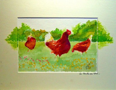 Jean-Marie Ferrer artiste peintre à Fréjus St Raphaël en Provence, aquarelle, dessin aquarellé LES TROIS POULES AU VERT